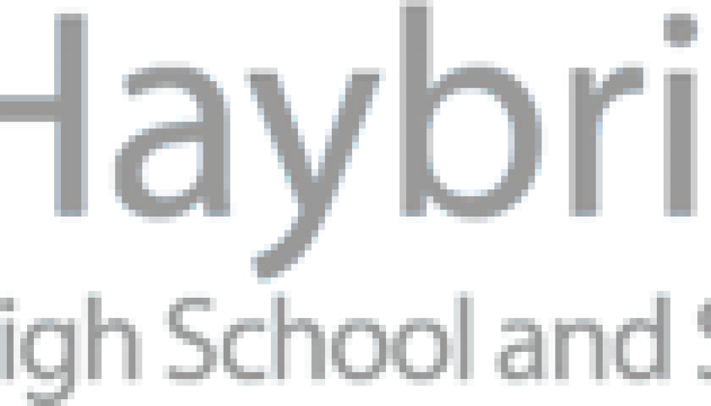 Haybridge_logo