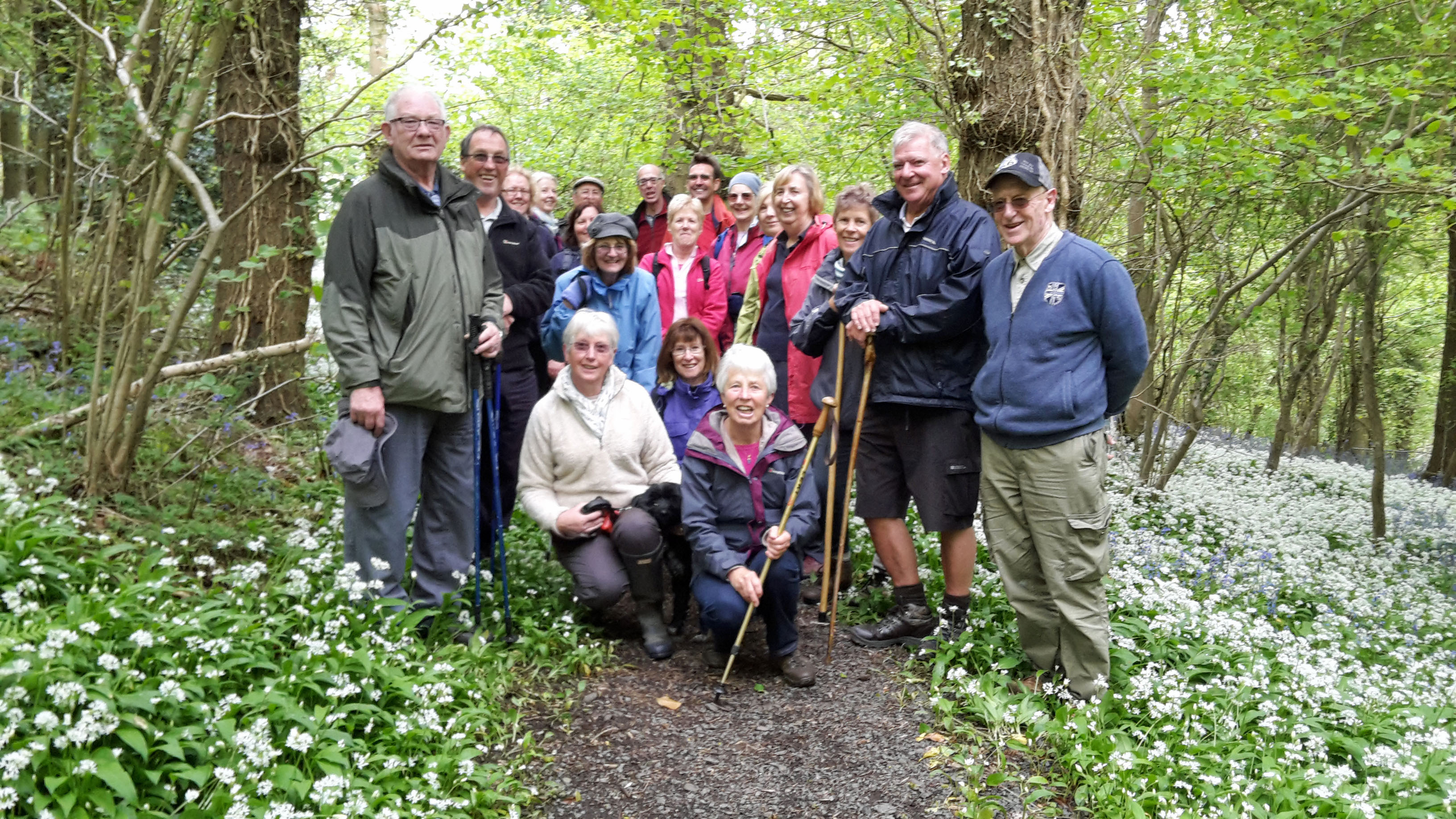 Garlic walk May 2017